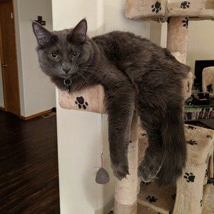 Meet your Posher, Teresa